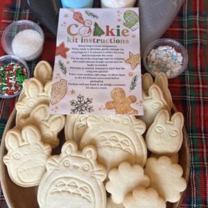 Cookie Decorating Kits – Fun Activities