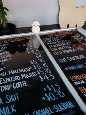 OIshiii Sweets Drink Menu OIshiii Sweets Drink Menu