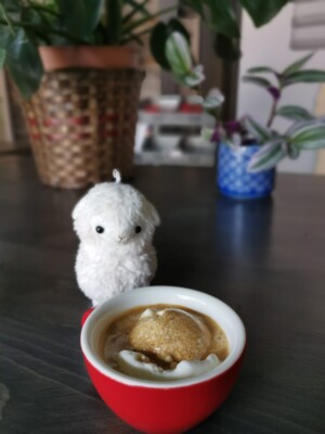 Affagado affagato toronto