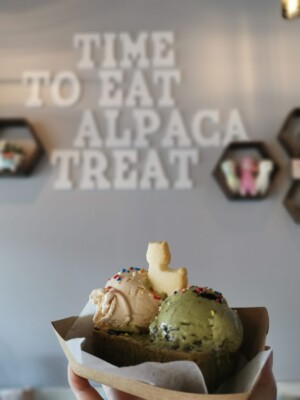 Brownie Ice Cream brownie ice cream