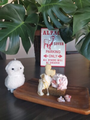 Tastebud Overload Local Ice Cream