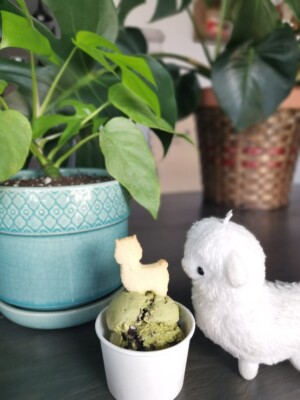 Matcha Oreo Ice Cream Ice Cream Shop