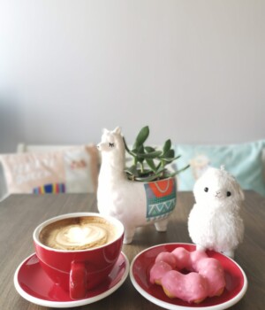 Strawberry Alpaca Love Oishiii Sweets Alpaca cafe