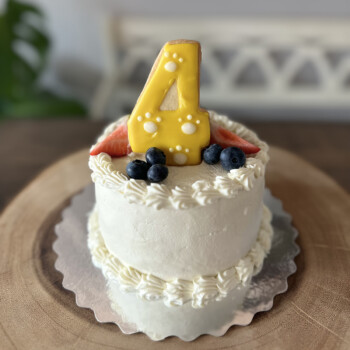 Banana Dog Cake dog cakes toronto